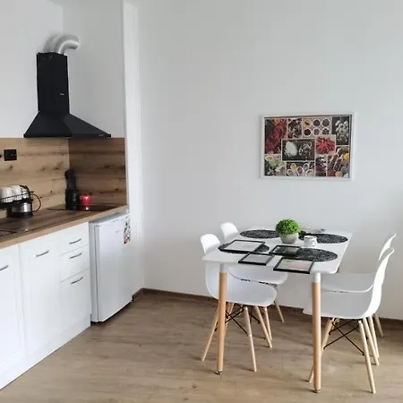 F 207 Del Sol - просторно студио с кухня и паркомясто プリモルスコ