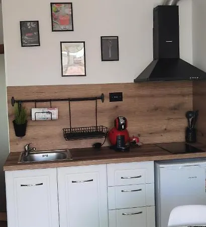 F 207 Del Sol - просторно студио с кухня и паркомясто *