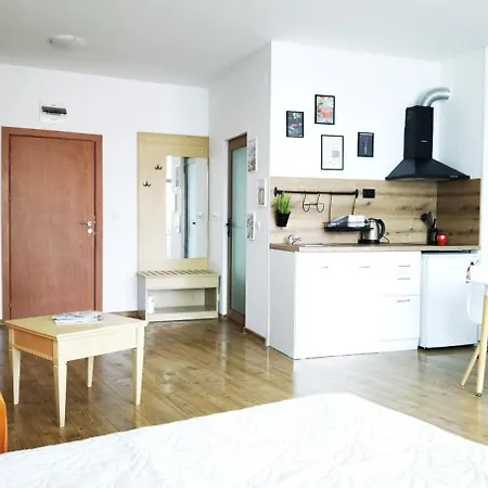 F 207 Del Sol - просторно студио с кухня и паркомясто * プリモルスコ