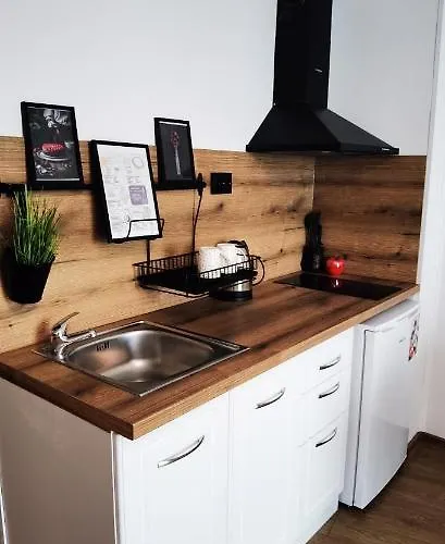 Apartmán F 207 Del Sol - просторно студио с кухня