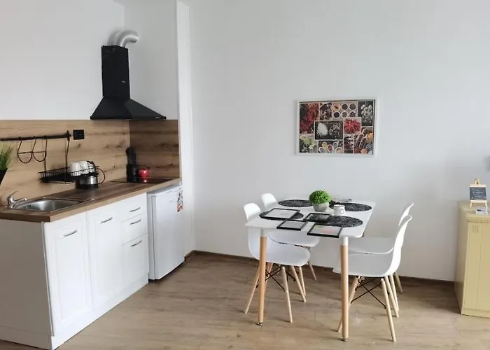 F 207 Del Sol - просторно студио с кухня פרימורסקו