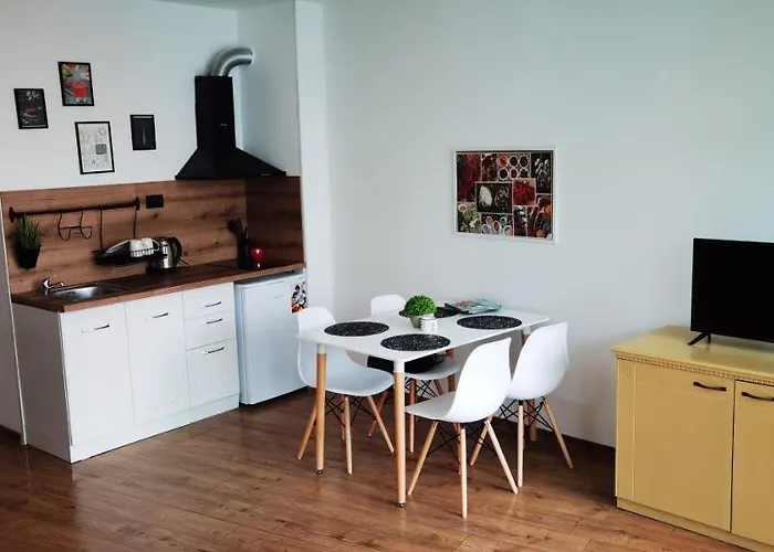 Apartmán F 207 Del Sol - просторно студио с кухня