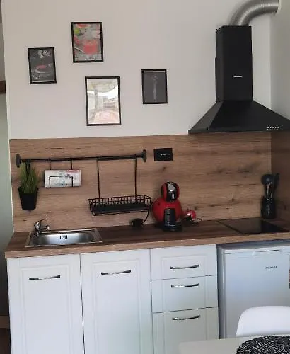 F 207 Del Sol - просторно студио с кухня *